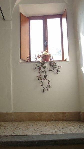 오르비에토 Casa Maria E Casa Cristina 아파트 외부 사진